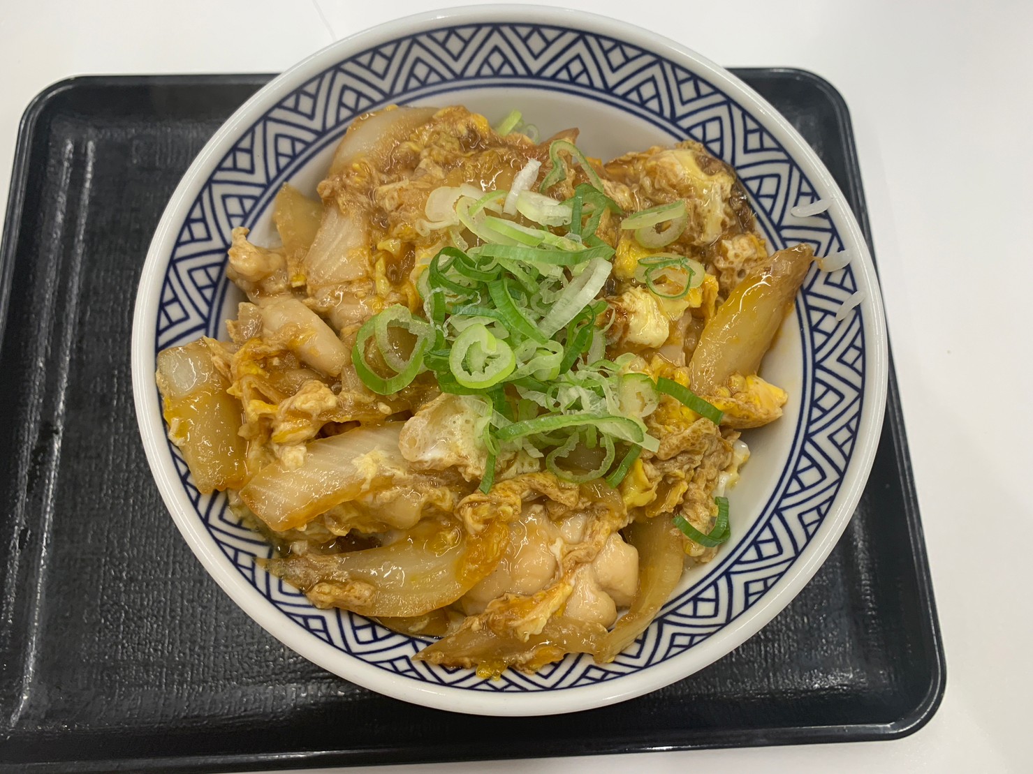 Yoshinoya_08