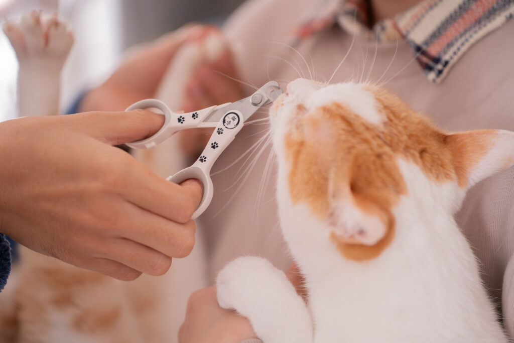 猫壱 ストレスなくスパッと切れる猫用爪切り