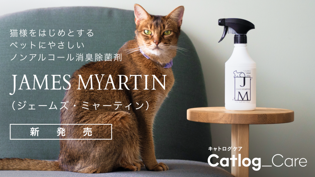 JM cat_00