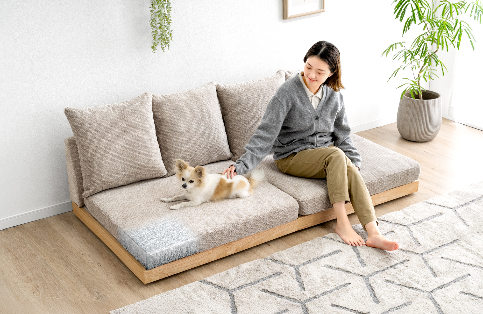 gen sofa_00
