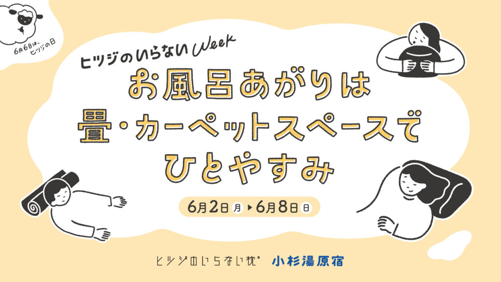 sheep pillow event_00