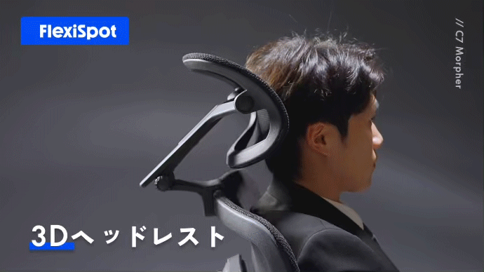 Flexi3Dヘッドレスト
