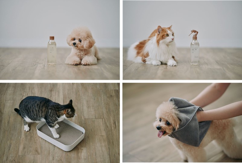 MUJI pet_00