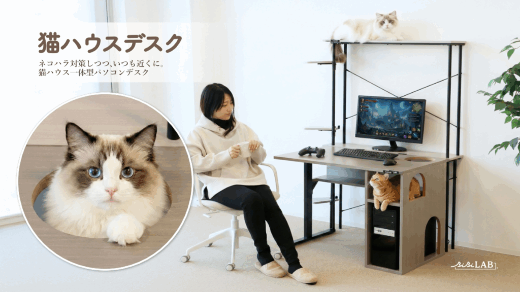 nekohouse_01