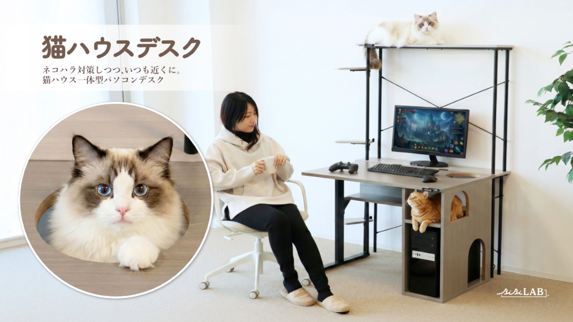 nekohouse_01